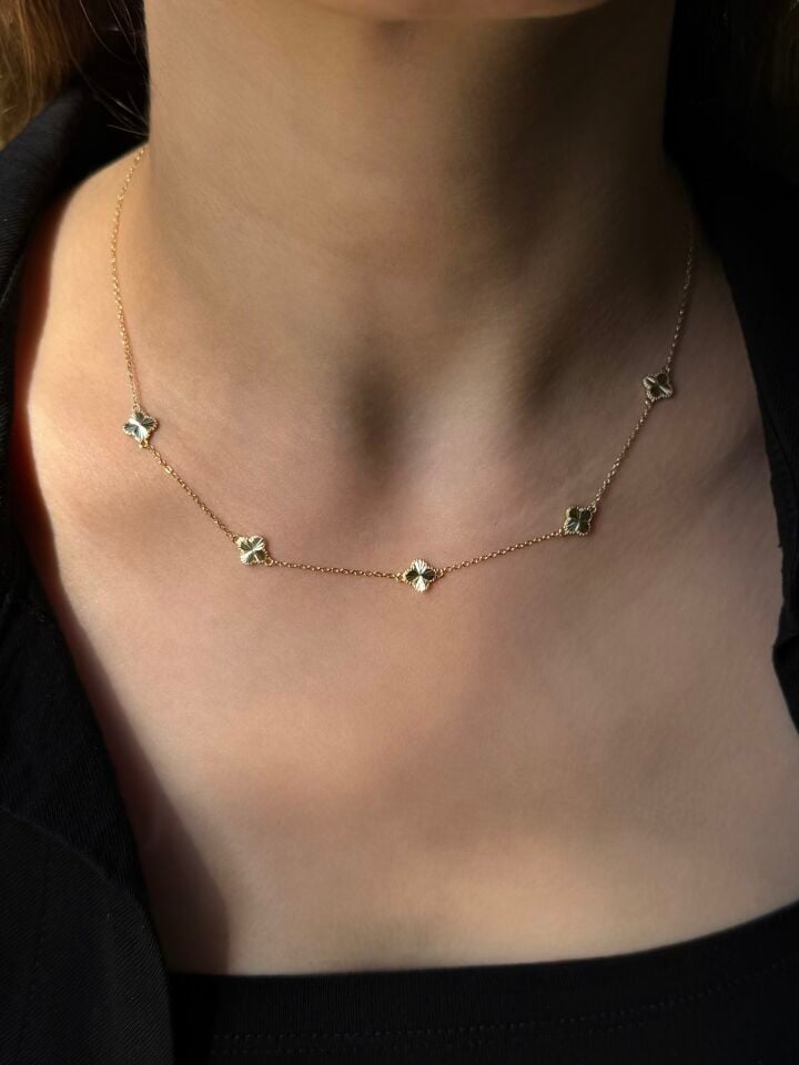 Clover Kolye